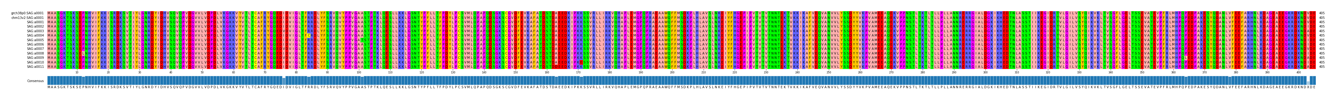 Multiple Alignments (by translate haplotype frequency)