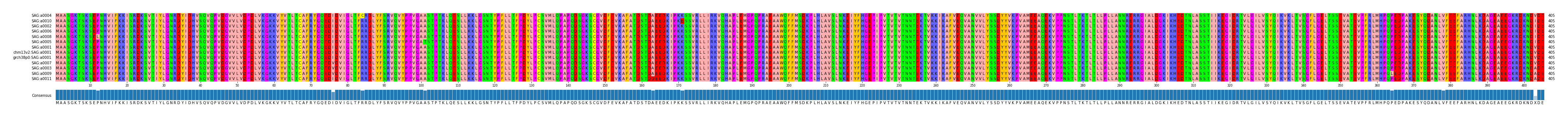 Multiple Alignments (by translate haplotype similarity)