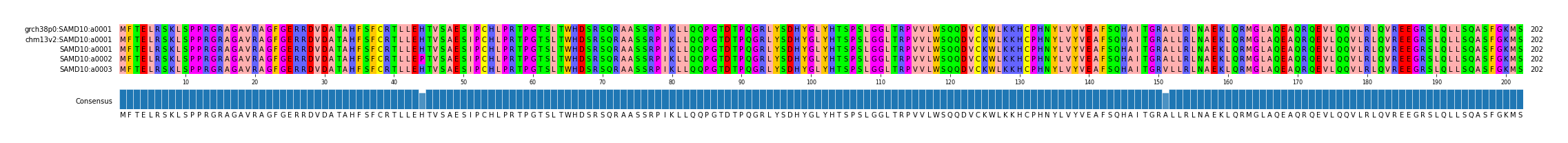 Multiple Alignments (by translate haplotype frequency)