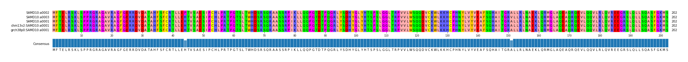 Multiple Alignments (by translate haplotype similarity)