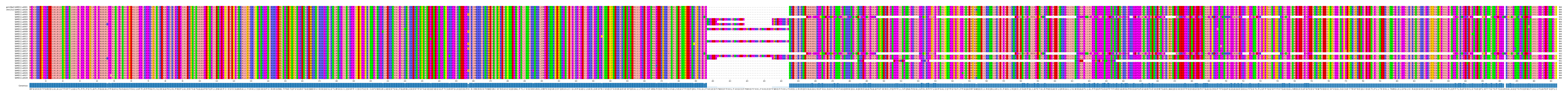 Multiple Alignments (by translate haplotype frequency)