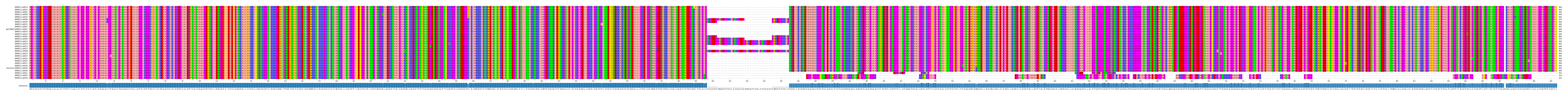 Multiple Alignments (by translate haplotype similarity)