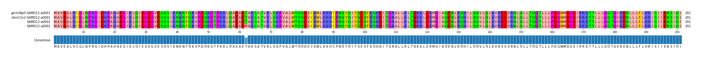 Multiple Alignments (by translate haplotype frequency)