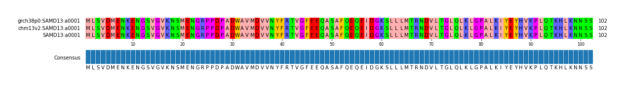 Multiple Alignments (by translate haplotype similarity)