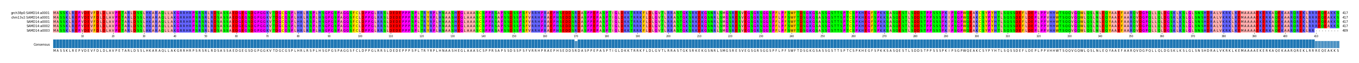 Multiple Alignments (by translate haplotype frequency)