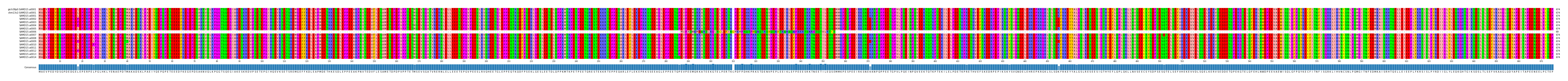 Multiple Alignments (by translate haplotype frequency)