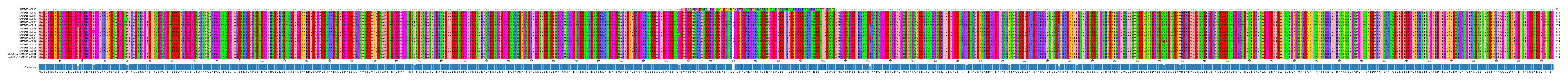 Multiple Alignments (by translate haplotype similarity)