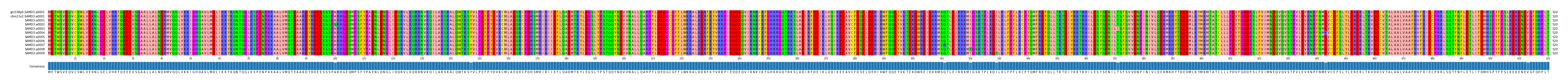 Multiple Alignments (by translate haplotype frequency)