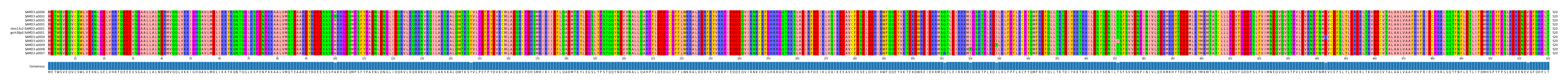 Multiple Alignments (by translate haplotype similarity)