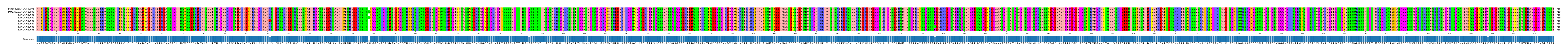 Multiple Alignments (by translate haplotype frequency)