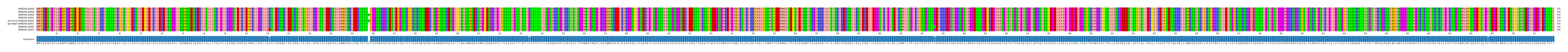 Multiple Alignments (by translate haplotype similarity)