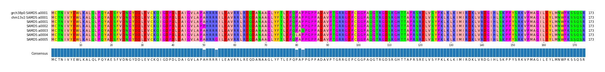Multiple Alignments (by translate haplotype frequency)