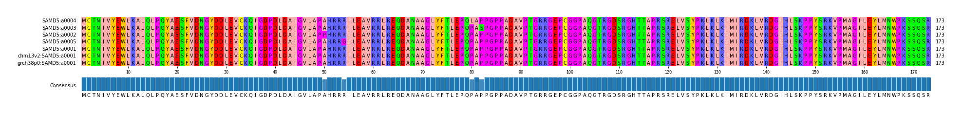 Multiple Alignments (by translate haplotype similarity)