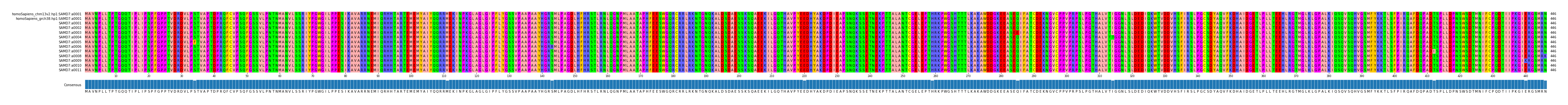 Multiple Alignments (by translate haplotype frequency)
