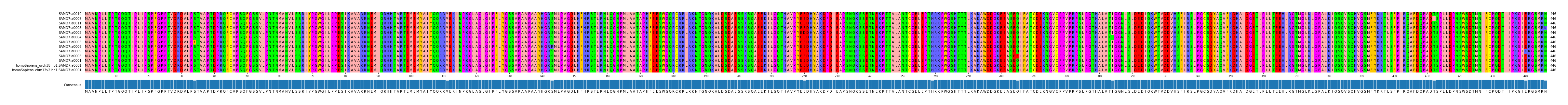 Multiple Alignments (by translate haplotype similarity)