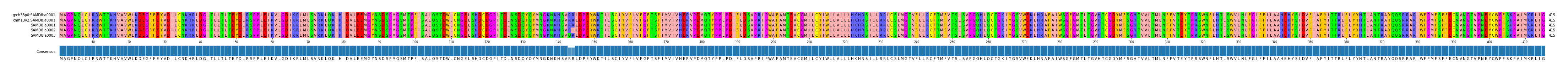 Multiple Alignments (by translate haplotype frequency)