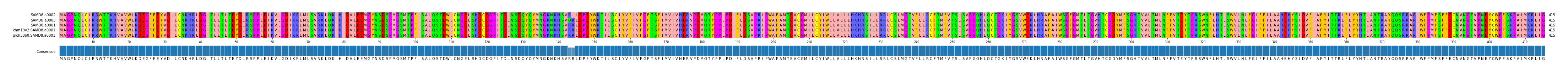 Multiple Alignments (by translate haplotype similarity)