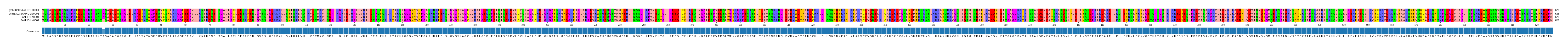Multiple Alignments (by translate haplotype similarity)