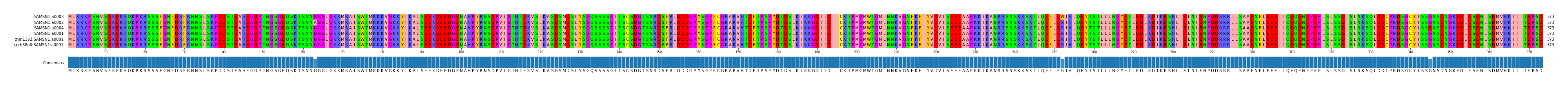 Multiple Alignments (by translate haplotype similarity)