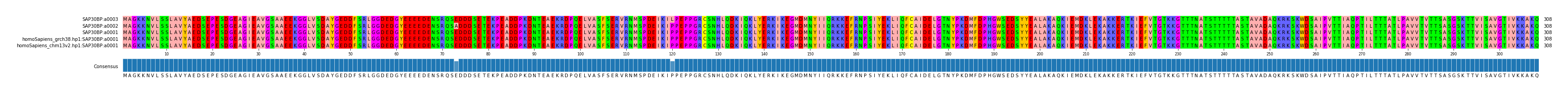 Multiple Alignments (by translate haplotype similarity)