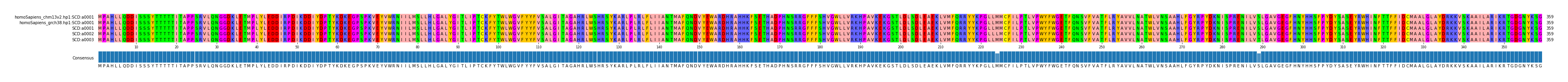 Multiple Alignments (by translate haplotype frequency)