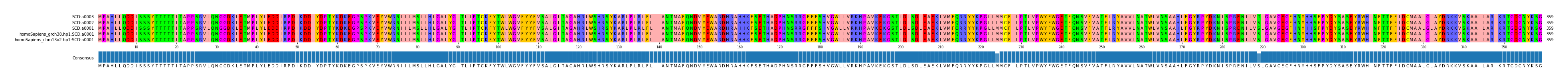 Multiple Alignments (by translate haplotype similarity)