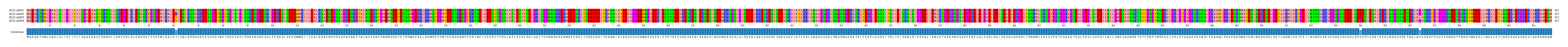 Multiple Alignments (by translate haplotype frequency)