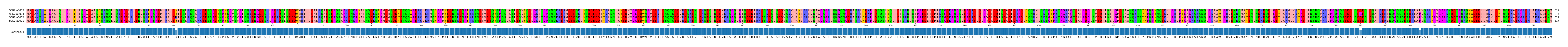 Multiple Alignments (by translate haplotype similarity)