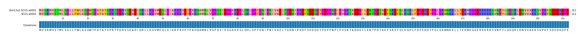 Multiple Alignments (by translate haplotype similarity)
