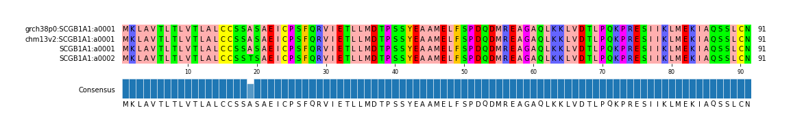 Multiple Alignments (by translate haplotype similarity)
