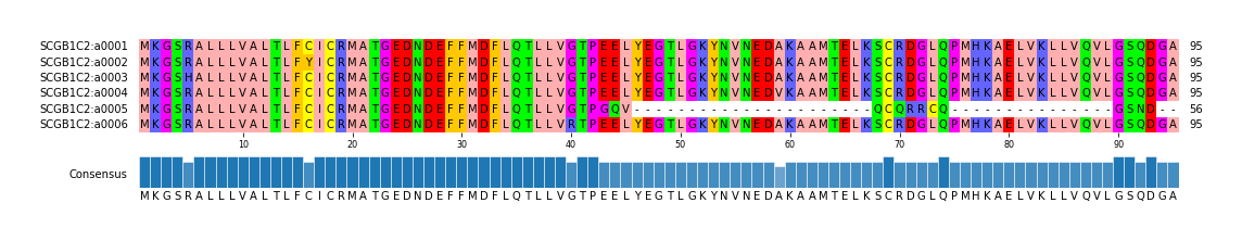 Multiple Alignments (by translate haplotype frequency)