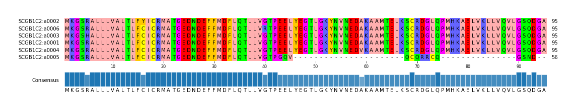 Multiple Alignments (by translate haplotype similarity)