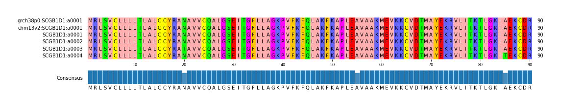 Multiple Alignments (by translate haplotype frequency)