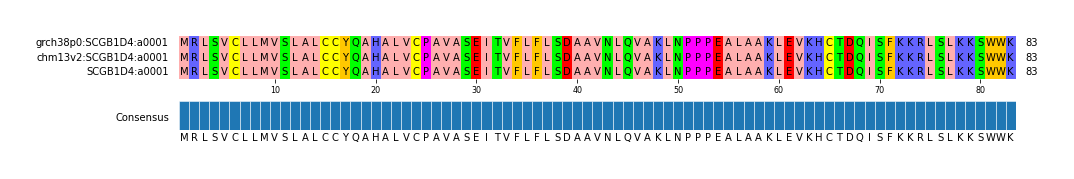 Multiple Alignments (by translate haplotype similarity)