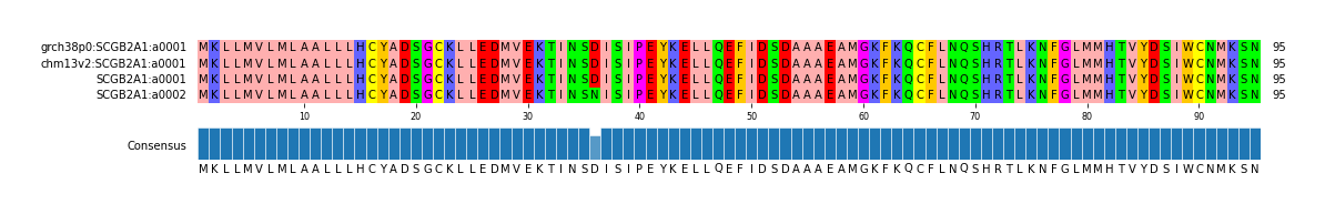 Multiple Alignments (by translate haplotype similarity)