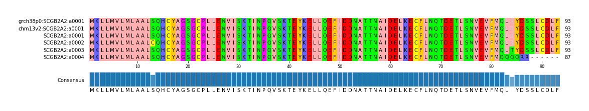 Multiple Alignments (by translate haplotype frequency)