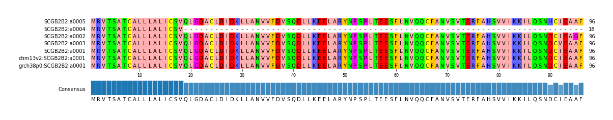 Multiple Alignments (by translate haplotype similarity)