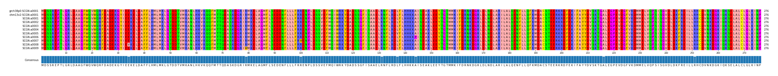 Multiple Alignments (by translate haplotype frequency)