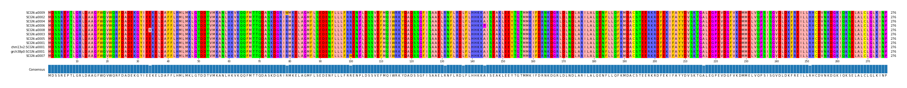 Multiple Alignments (by translate haplotype similarity)