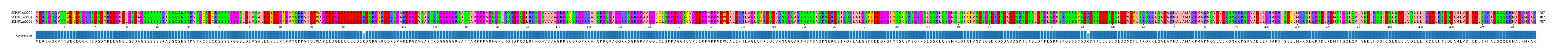 Multiple Alignments (by translate haplotype similarity)