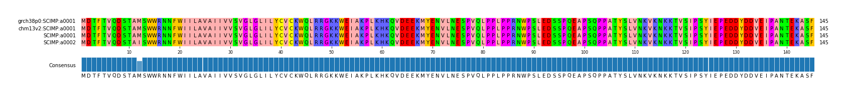 Multiple Alignments (by translate haplotype similarity)
