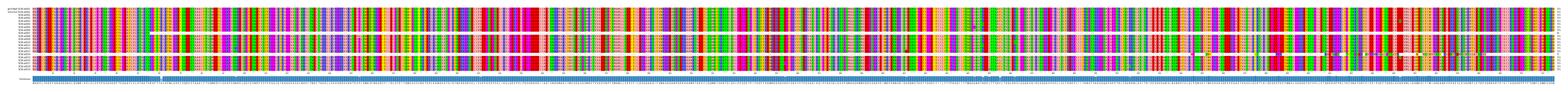 Multiple Alignments (by translate haplotype frequency)
