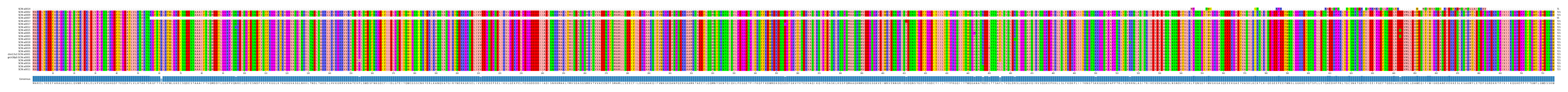 Multiple Alignments (by translate haplotype similarity)