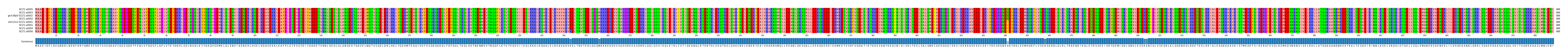 Multiple Alignments (by translate haplotype similarity)