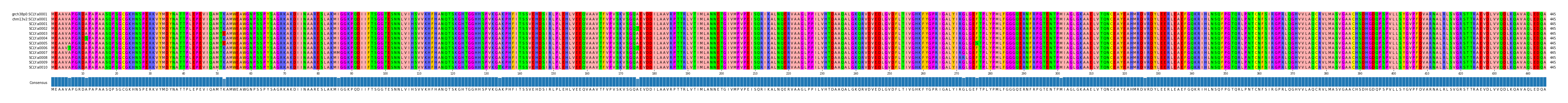 Multiple Alignments (by translate haplotype frequency)