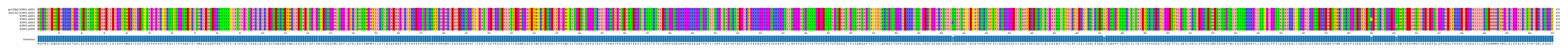 Multiple Alignments (by translate haplotype frequency)