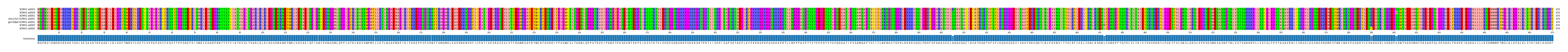 Multiple Alignments (by translate haplotype similarity)