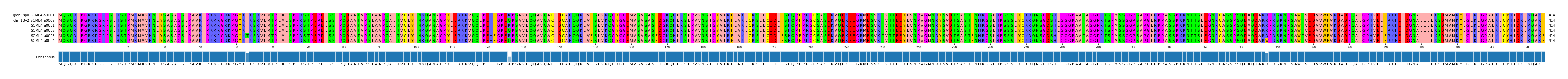 Multiple Alignments (by translate haplotype frequency)