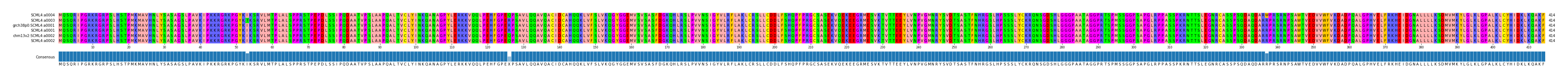 Multiple Alignments (by translate haplotype similarity)