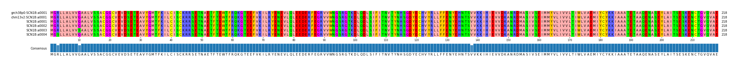 Multiple Alignments (by translate haplotype frequency)